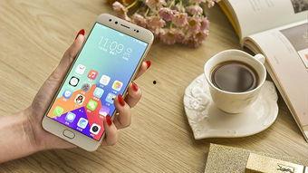 手机国产看片,畅享本土影视盛宴